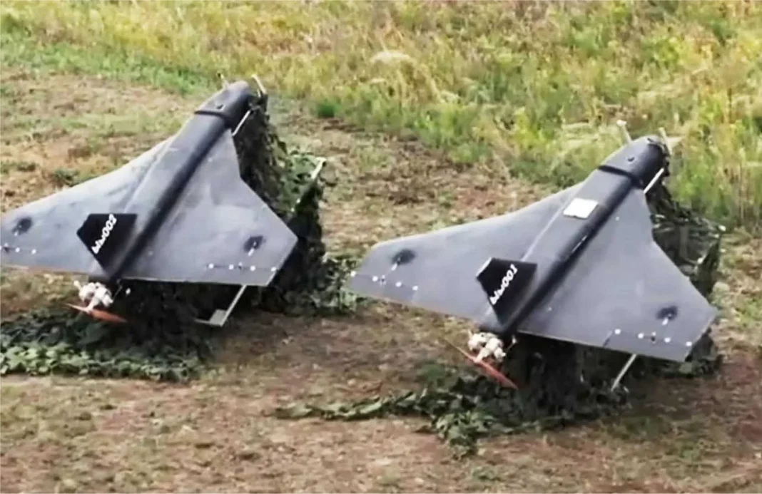 Gerbera Kamikaze Dronları