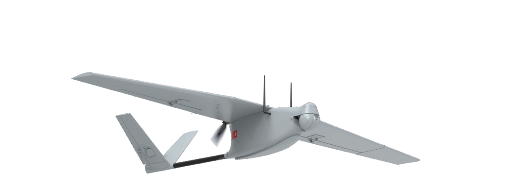 Mini İHA Nedir?, Bayraktar Mini İHA, Gözcü Mini İHA